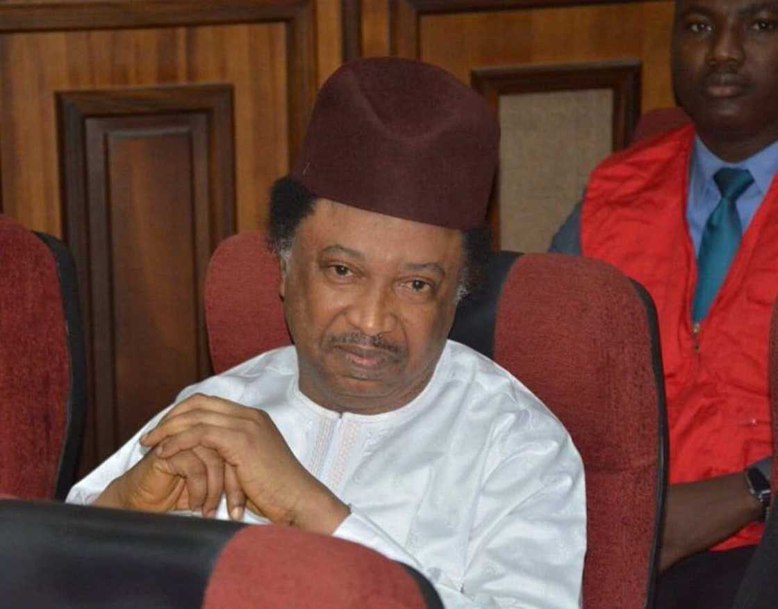 Shehu Sani recalls how he was sentenced to life imprisonment in 1995 by Abacha regime Shehu Sani recalls how he was sentenced to life imprisonment in 1995 by Abacha regime