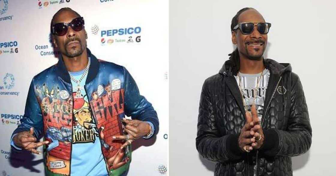 Snoop Dogg, Weed, Rapper, American Snoop Dogg, Weed, Rapper, American