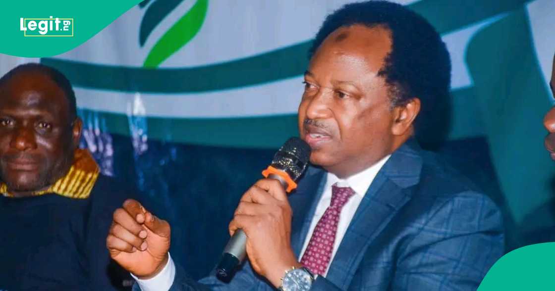 Shehu Sani Shehu Sani