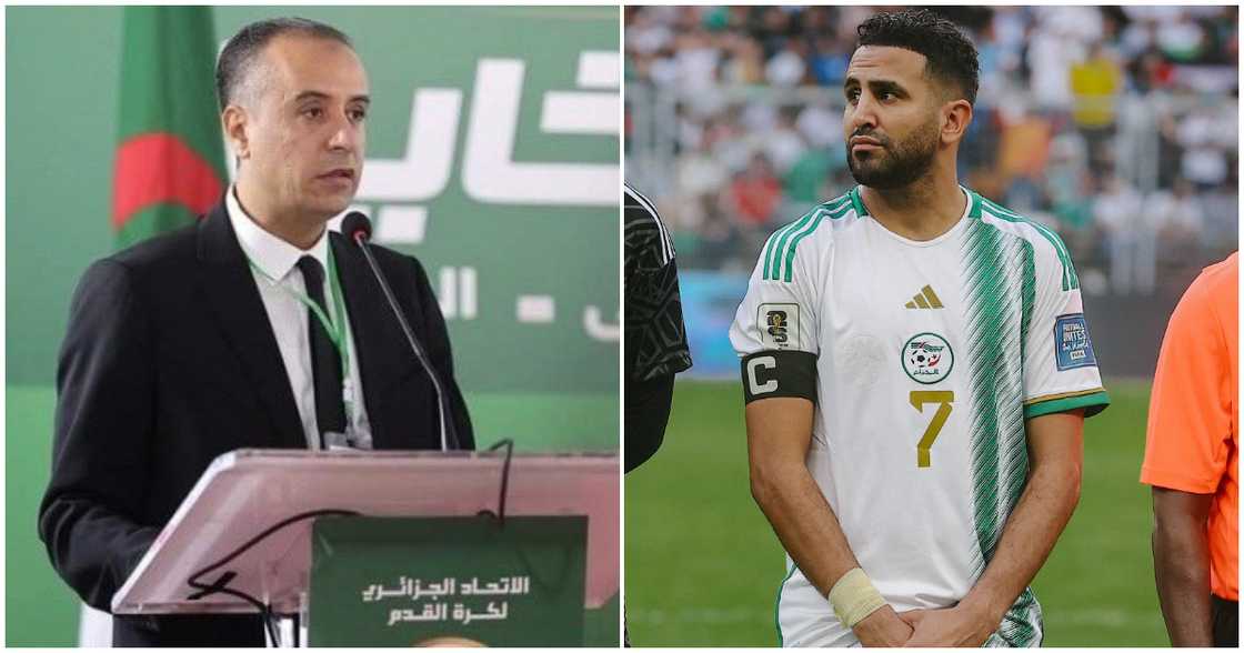 Walid Sadi, Algeria FA, CAF Awards, Morocco Walid Sadi, Algeria FA, CAF Awards, Morocco