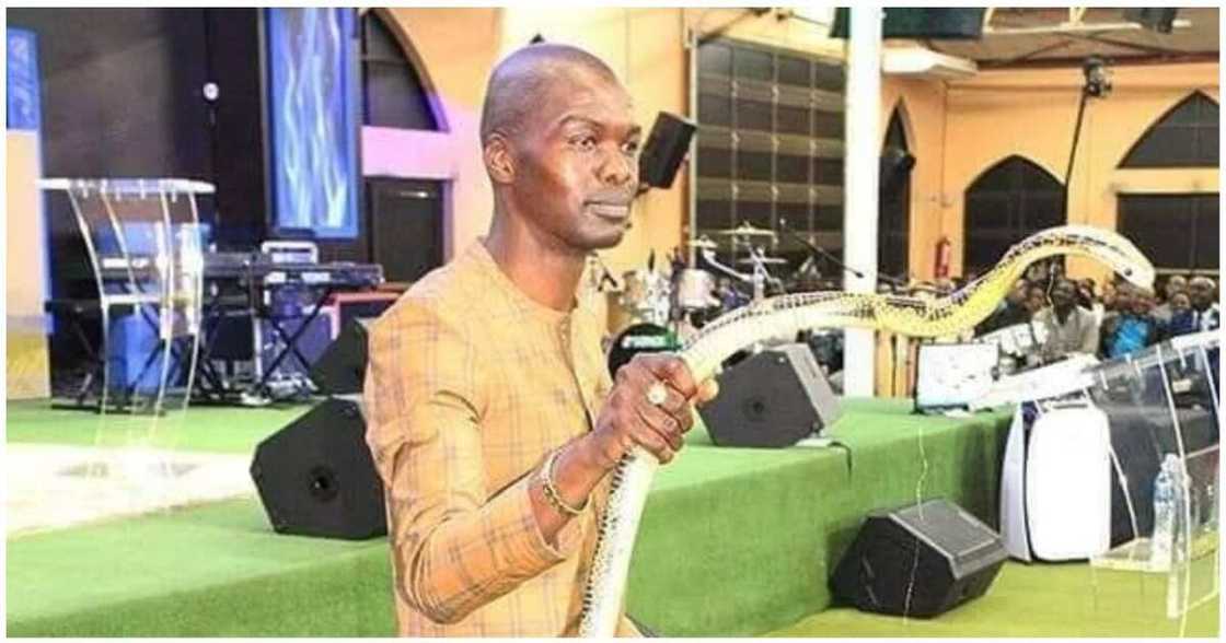 Pastor Pastor
