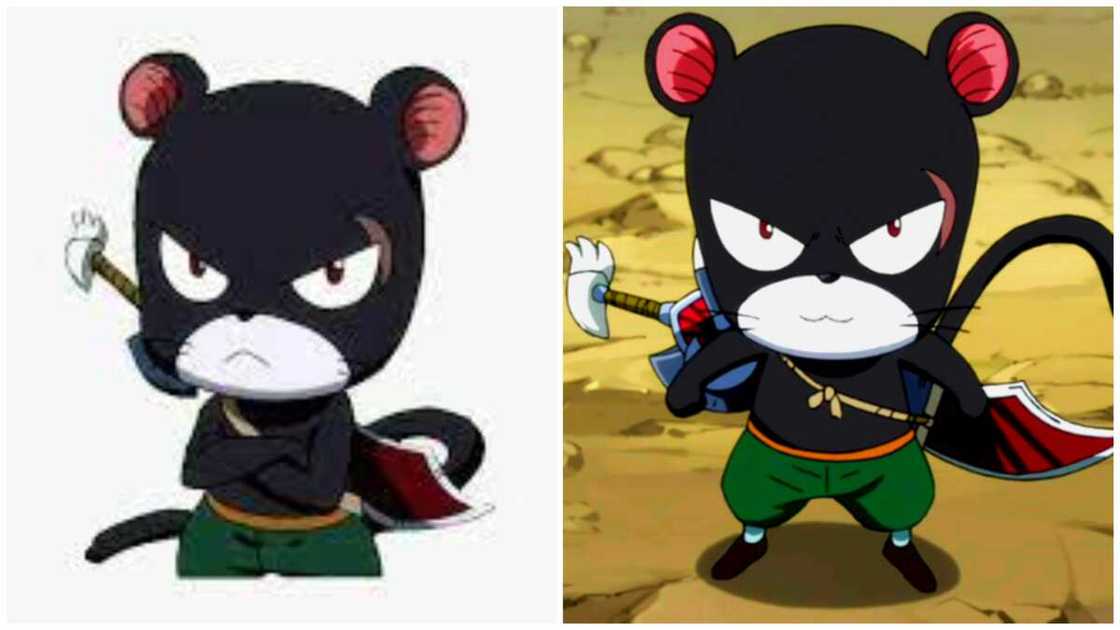 cat anime characters cat anime characters