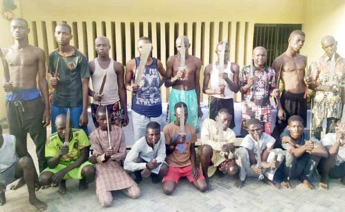 Kano: Ƴan sanda sun kama ɓata gari 59, sun ƙwato muggan makamai da ƙwayoyi Kano: Ƴan sanda sun kama ɓata gari 59, sun ƙwato muggan makamai da ƙwayoyi