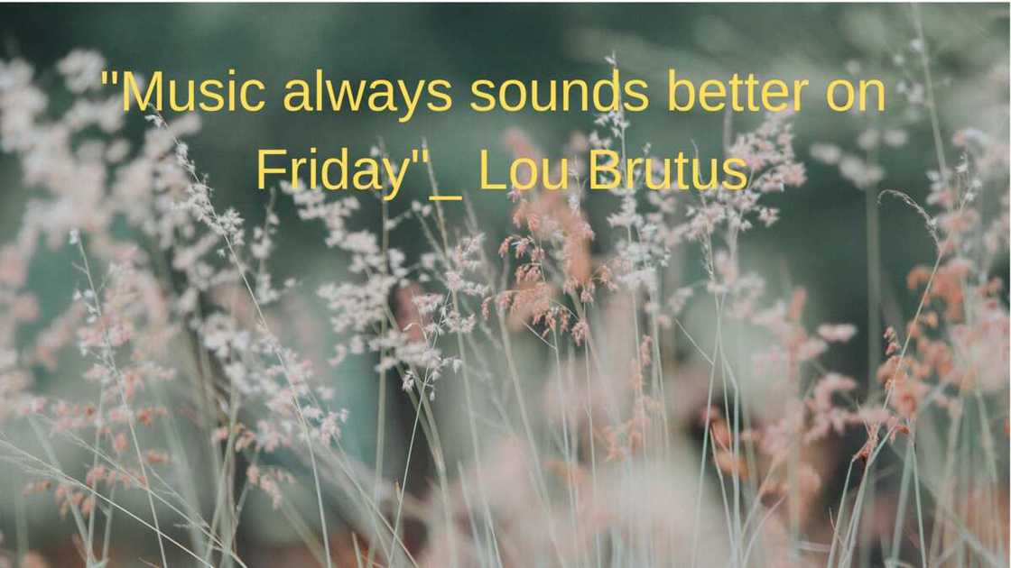 Friday quotes