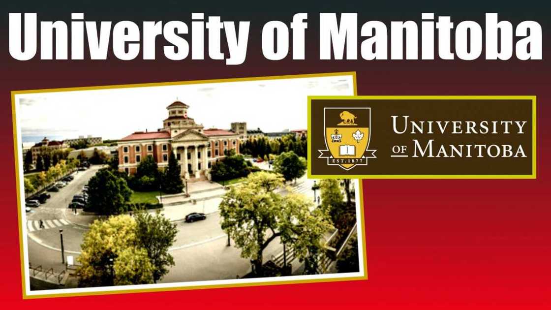 University of Manitoba - Winnipeg, Manitoba University of Manitoba - Winnipeg, Manitoba