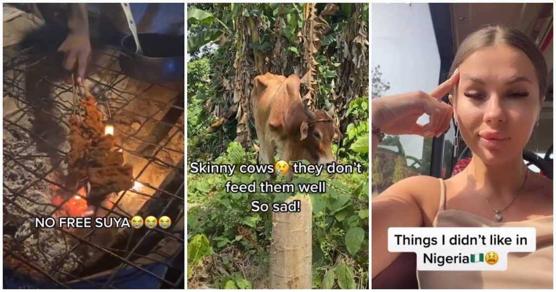Ukraine lady, visit Nigeria, shares dislikes about Nigeria, skinny cows Ukraine lady, visit Nigeria, shares dislikes about Nigeria, skinny cows