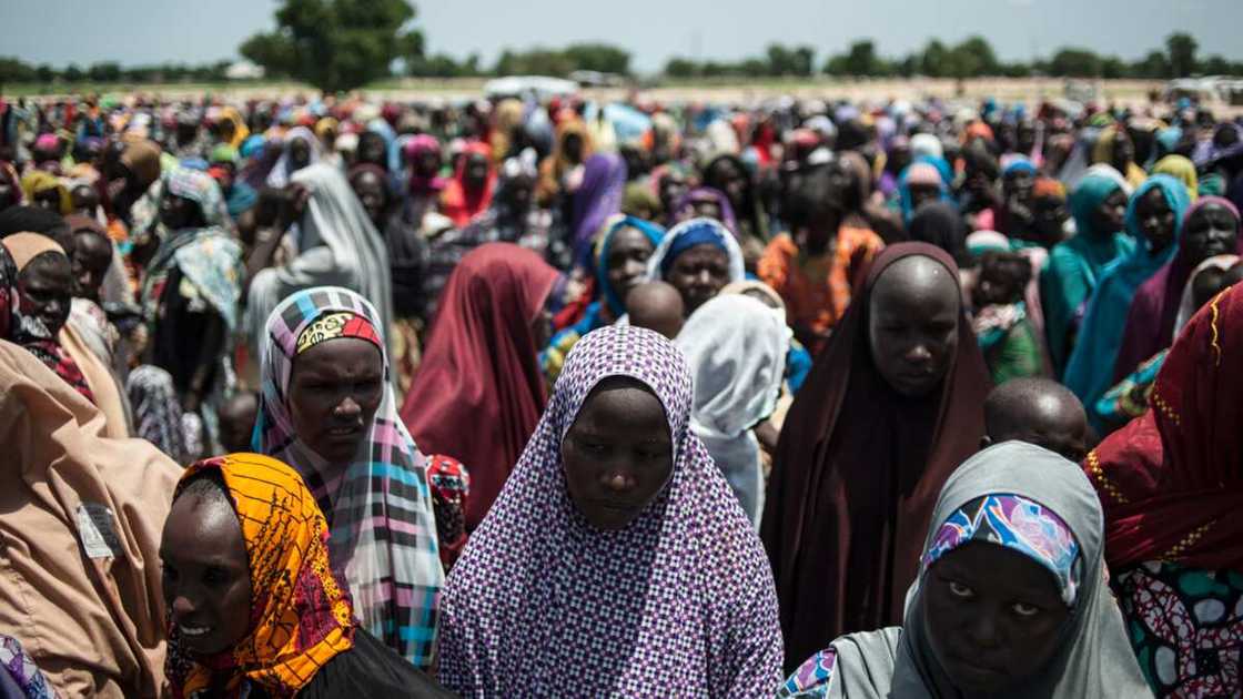 ‘Yan ta’addan Boko Haram sun yi ta’adi a Borno, sun yanka ‘Yan gudun hijira 5 ‘Yan ta’addan Boko Haram sun yi ta’adi a Borno, sun yanka ‘Yan gudun hijira 5