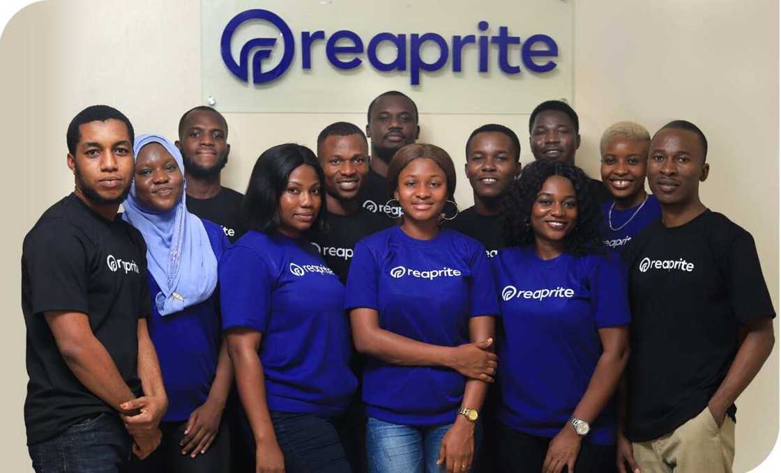Reaprite: Your seamless savings and investment platform Reaprite: Your seamless savings and investment platform