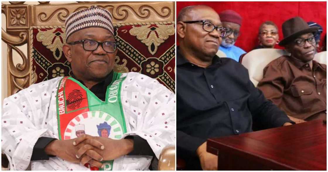 INEC's final result/ Maths professor/ Peter Obi's maths professor/ Professor Eric Ofoedu/ Maths professor in court INEC's final result/ Maths professor/ Peter Obi's maths professor/ Professor Eric Ofoedu/ Maths professor in court