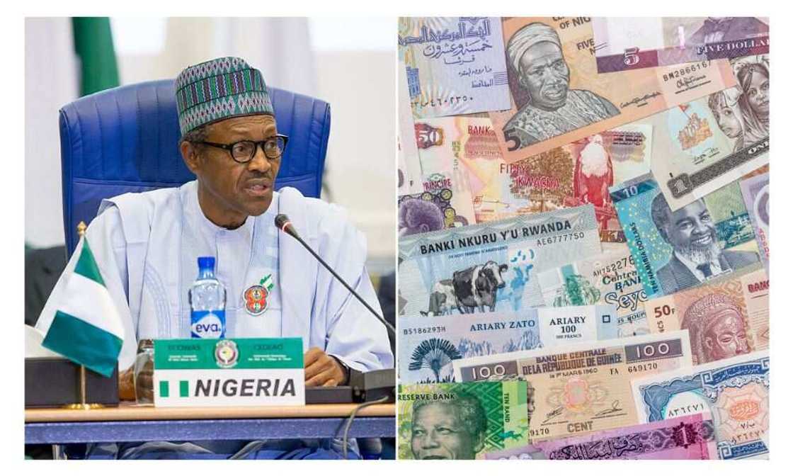 New notes, CBN, Emefiele New notes, CBN, Emefiele