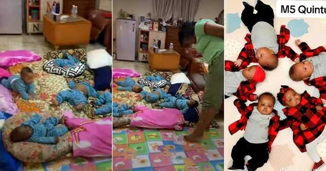 Mum of five performing head count of babies