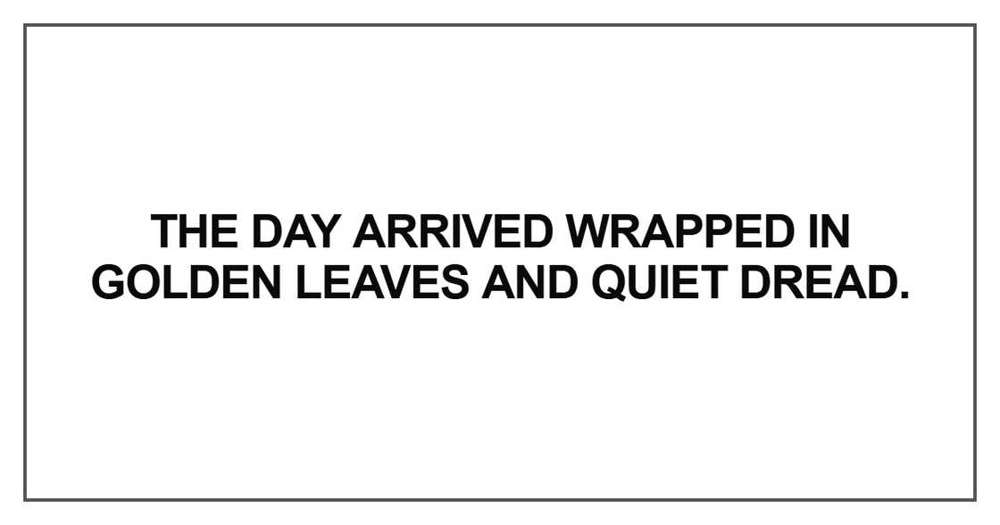 The day arrived wrapped The day arrived wrapped