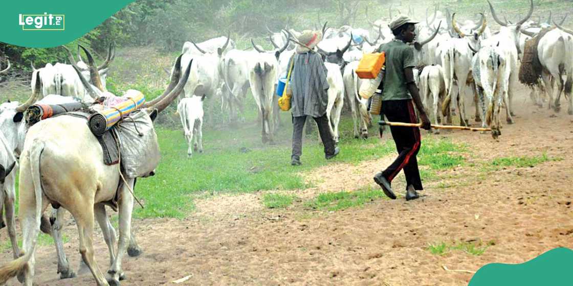 Suspected herdsmen kill three in Benue community Suspected herdsmen kill three in Benue community