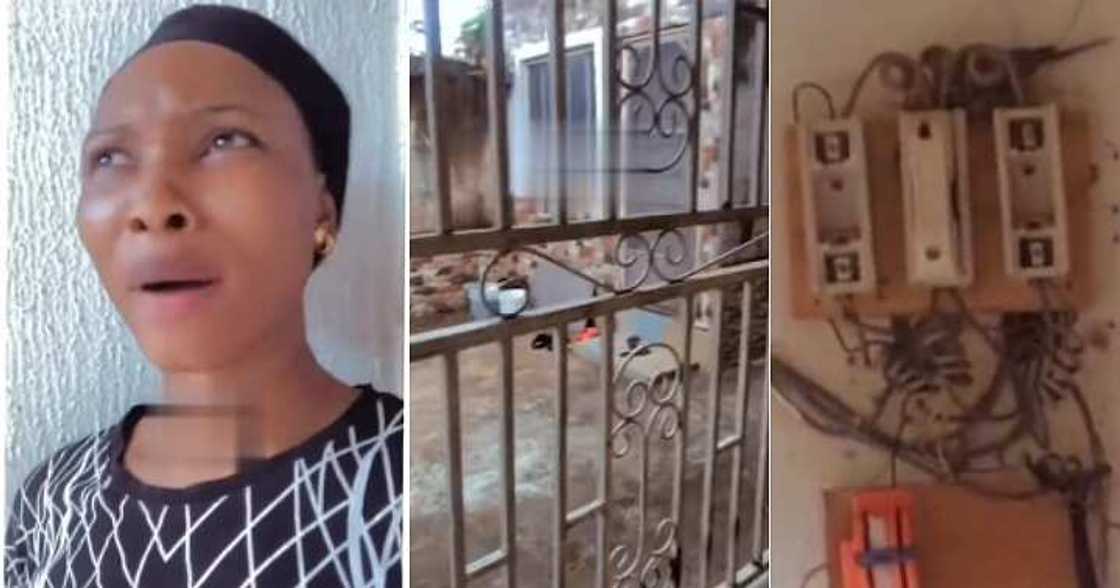 Bird lays eggs, lady cries out, Spiritual attack