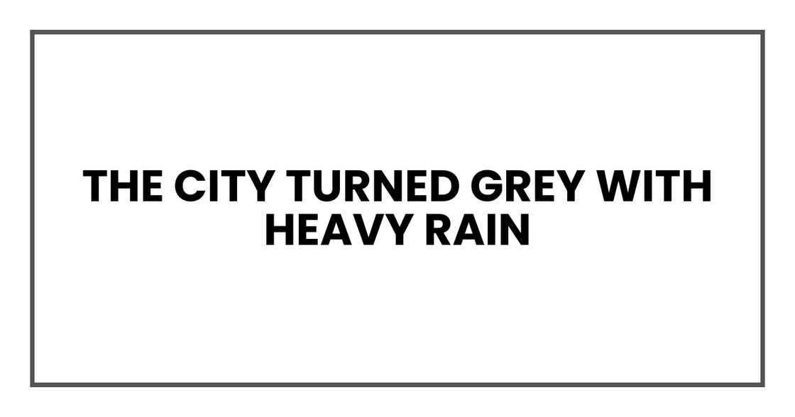 Rainy road