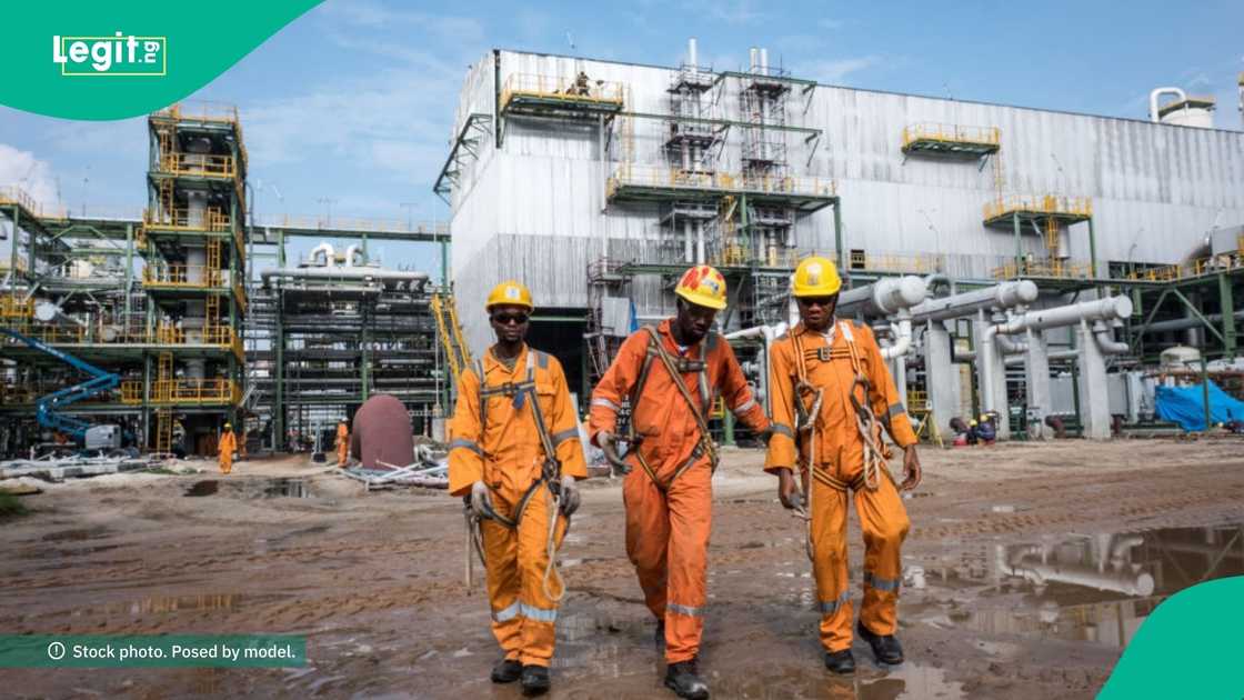 Dangote refinery reshuffles workforces, denies reports