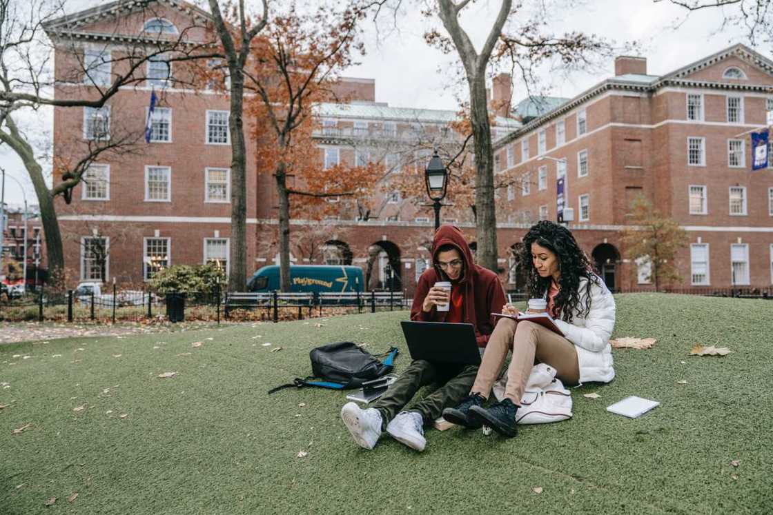 Students sitting in a school park