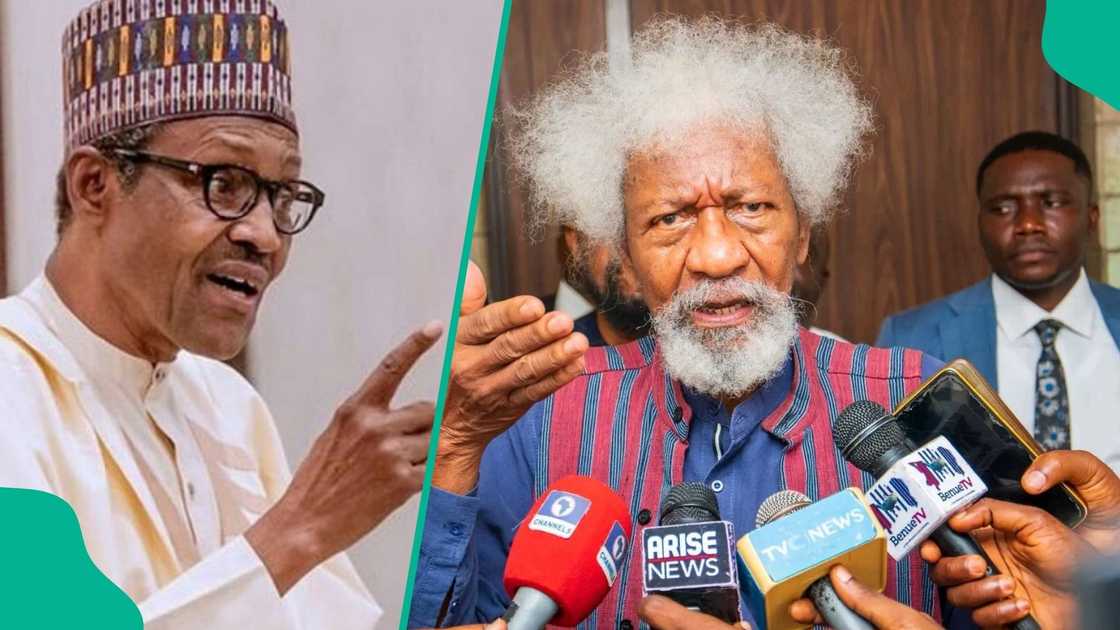 Soyinka warns leaders in Benue and cautions that foreign help could worsen Nigeria’s security crisis