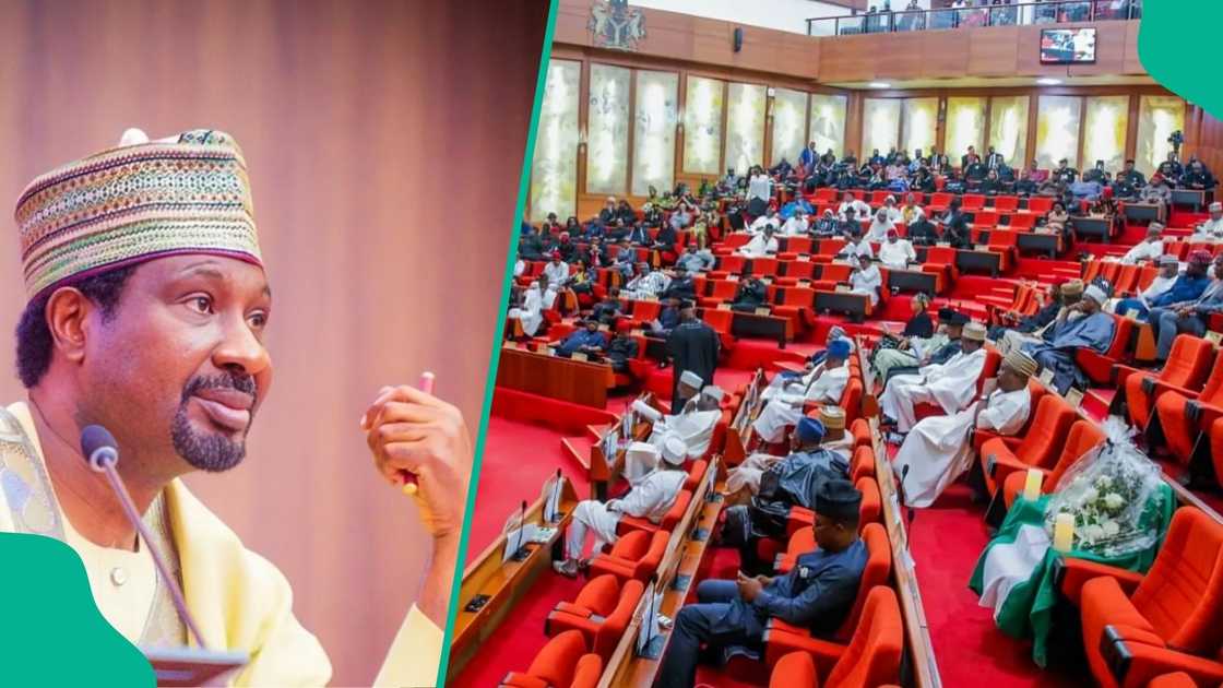 Deputy Senate President Jibrin Barau reveals the number of bills and requests for new states and local governments under review. Deputy Senate President Jibrin Barau reveals the number of bills and requests for new states and local governments under review.