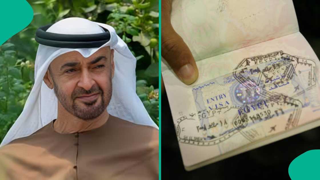 UAE mentions African countries eligible for entry visa for more than 2 weeks UAE mentions African countries eligible for entry visa for more than 2 weeks