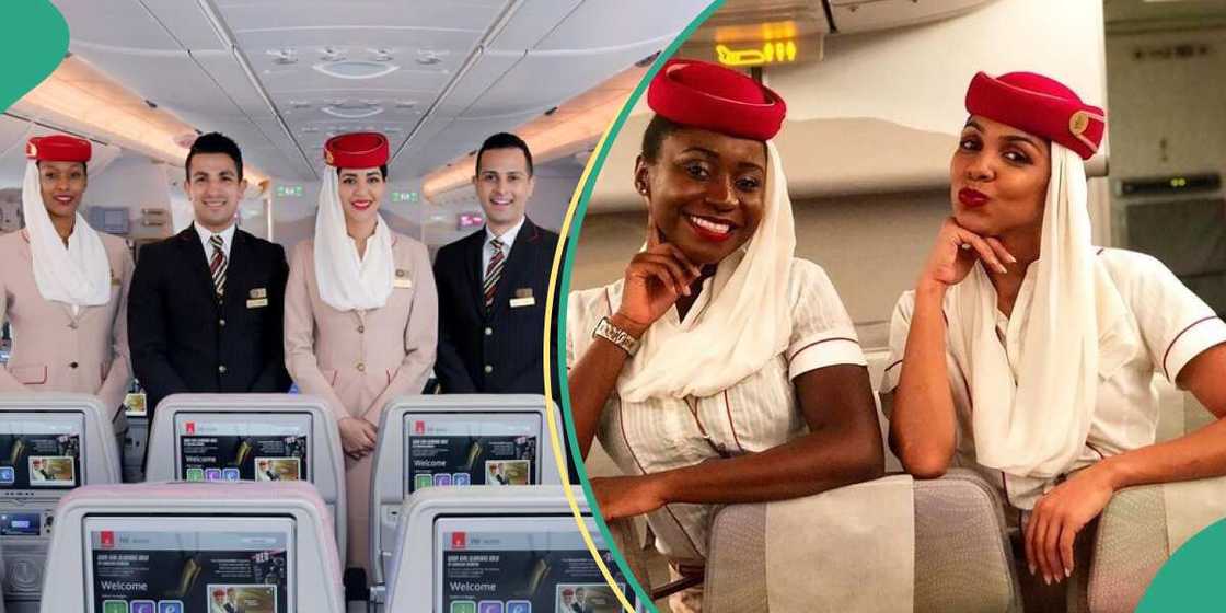 Emirates Airlines Invites Fresh Graduate to Join Its Cabin Crew Emirates Airlines Invites Fresh Graduate to Join Its Cabin Crew