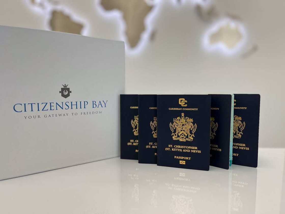 Why You Should Consider Citizenship by Investment - Zaid AlDayriyeh, MD Citizenship Bay Why You Should Consider Citizenship by Investment - Zaid AlDayriyeh, MD Citizenship Bay