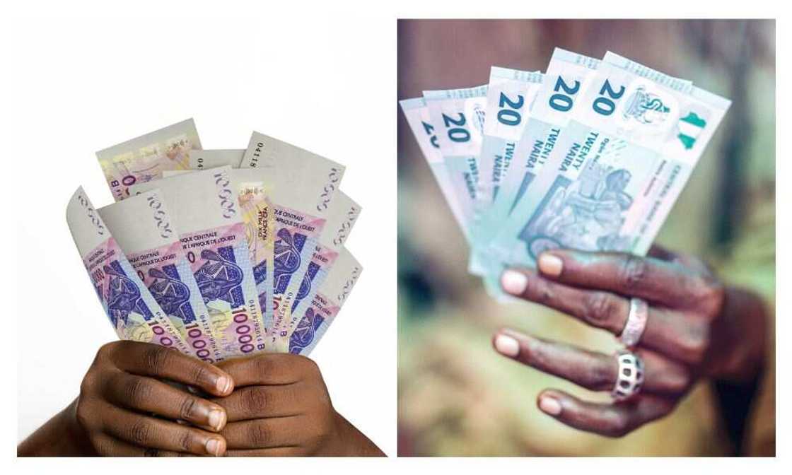 Boko Haram, ISWAP, new currency, naira Boko Haram, ISWAP, new currency, naira