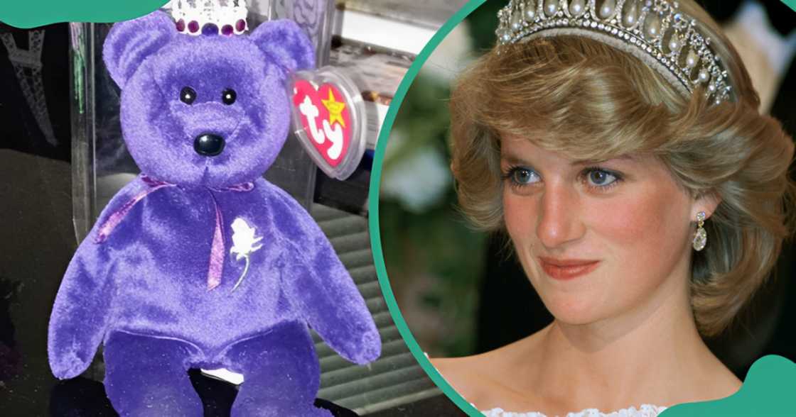 The Princess Diana Beanie Baby (L) and Diana, Princess of Wales (R). The Princess Diana Beanie Baby (L) and Diana, Princess of Wales (R).
