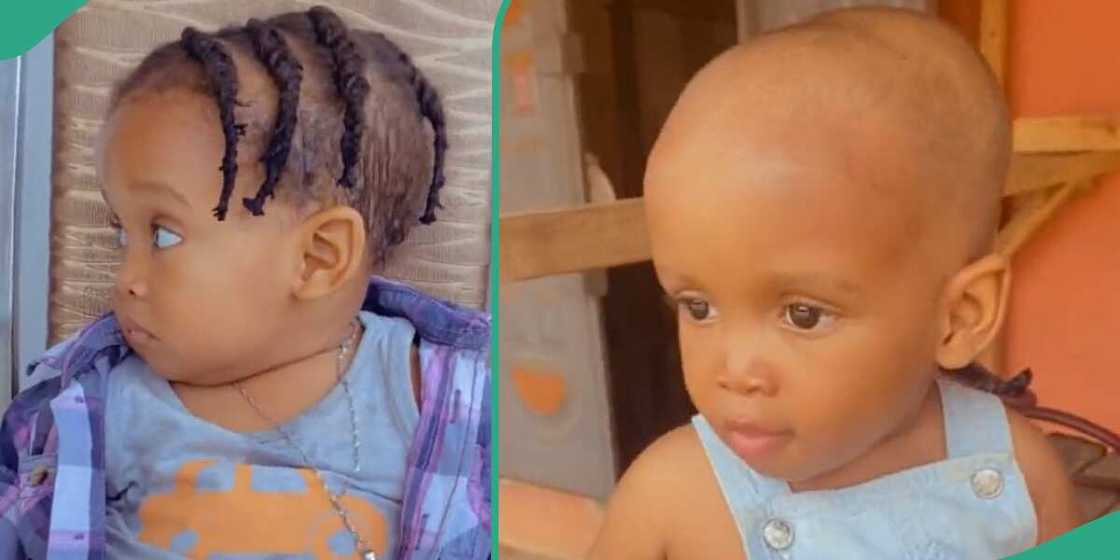 Grandmother shaves her grandson's hair.