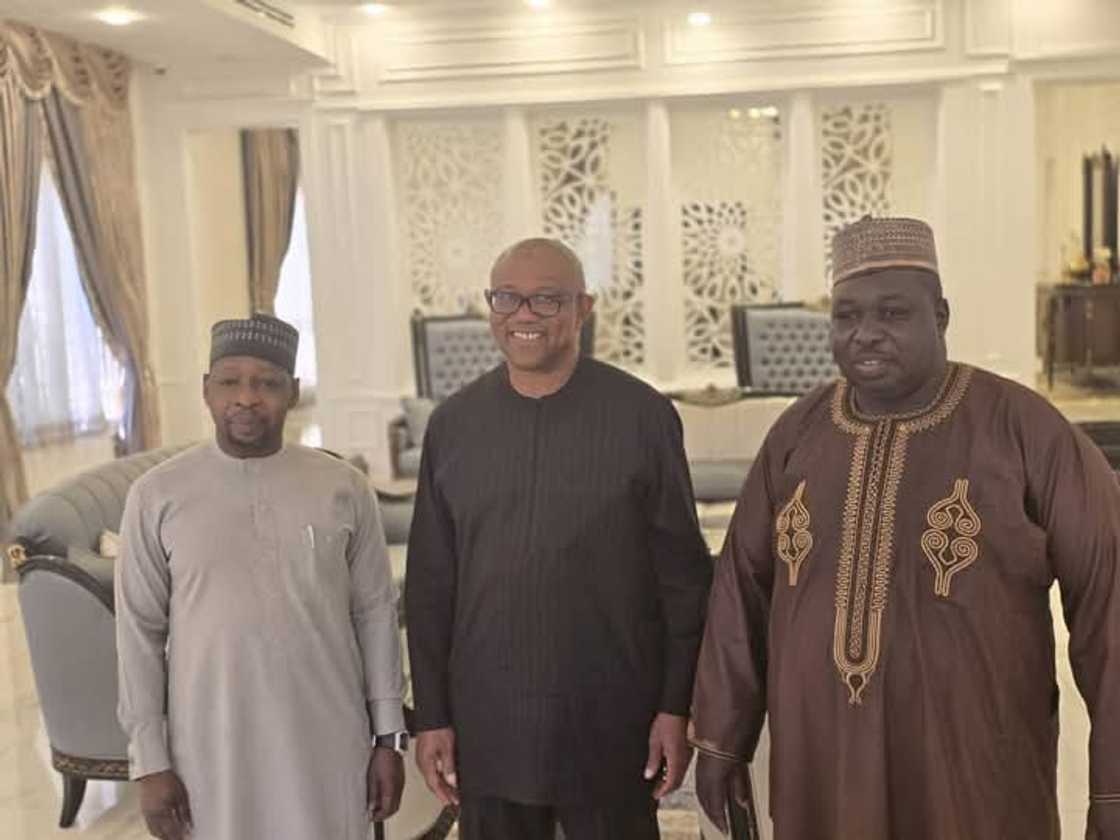 Peter Obi ya gana da jigon APC Peter Obi ya gana da jigon APC
