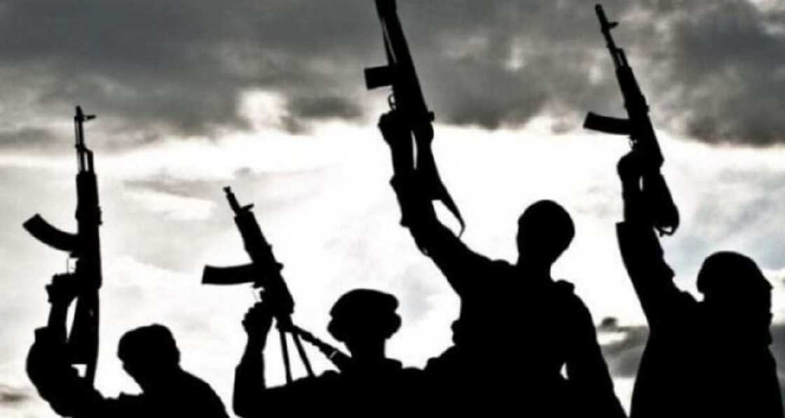 'Yan bindiga sun tare hanya sun sace mutane 5 a Jihar Yobe 'Yan bindiga sun tare hanya sun sace mutane 5 a Jihar Yobe