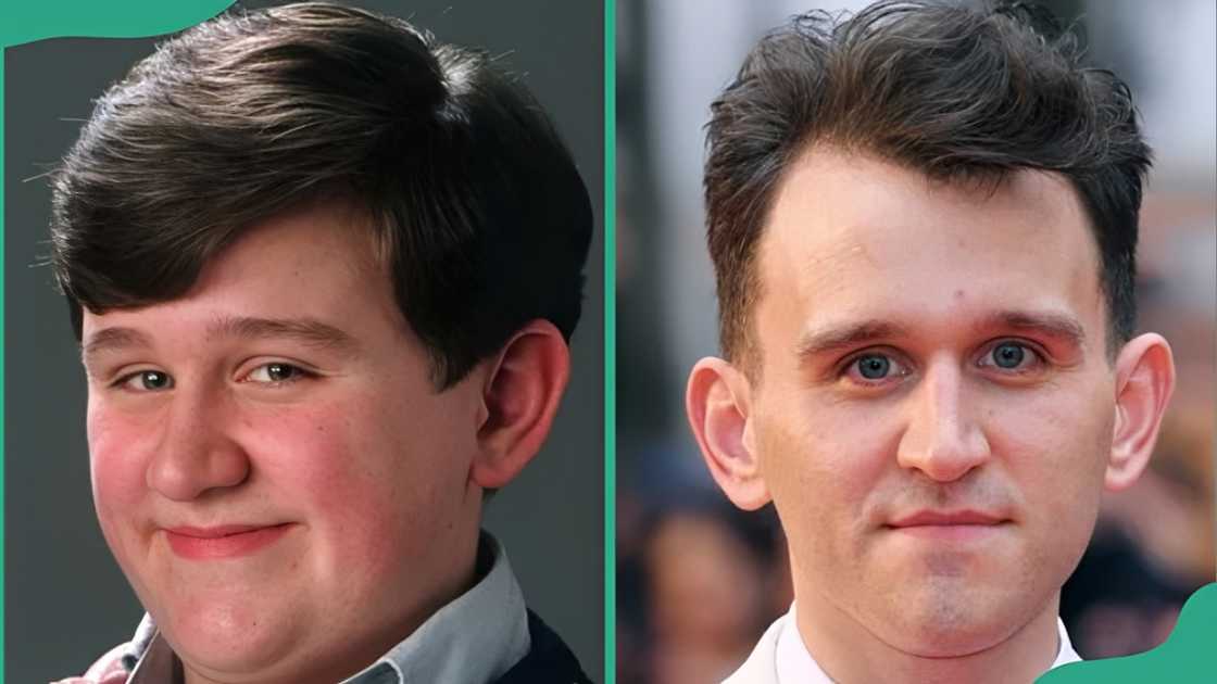 Actor Harry Melling Actor Harry Melling