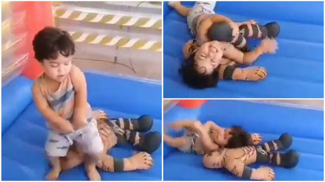 Little kid show great wrestling skill, see how he won a fight in this ring Little kid show great wrestling skill, see how he won a fight in this ring