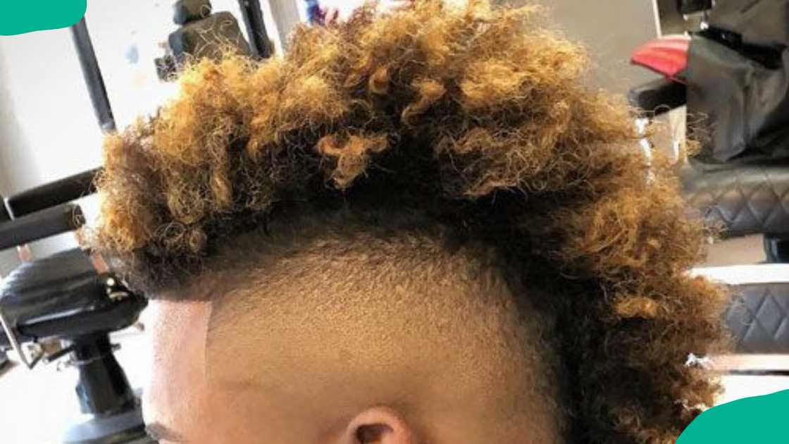 Honey-blonde frohawk fade hairstyle for men Honey-blonde frohawk fade hairstyle for men