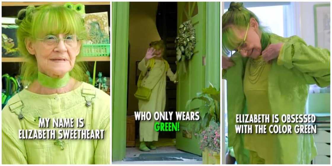 Elizabeth Sweetheart/Green Lady Elizabeth Sweetheart/Green Lady