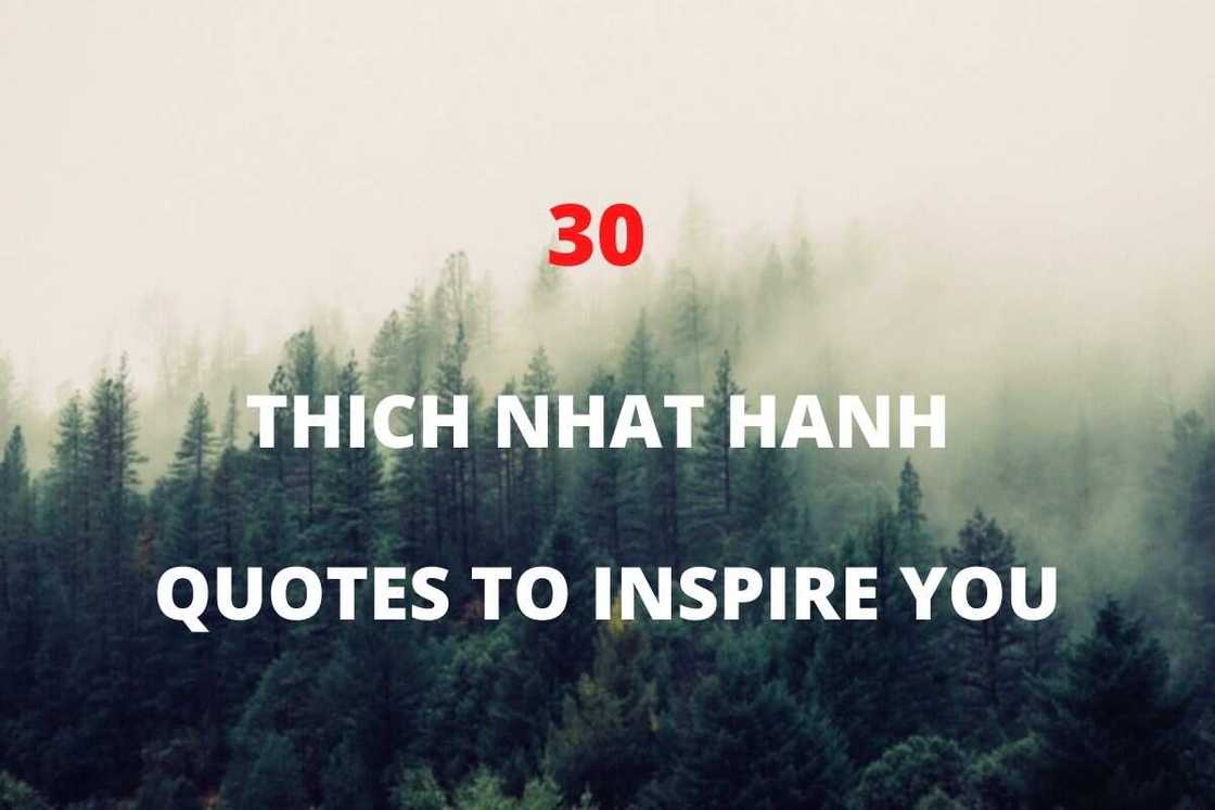 Thich Nhat Hanh quotes Thich Nhat Hanh quotes
