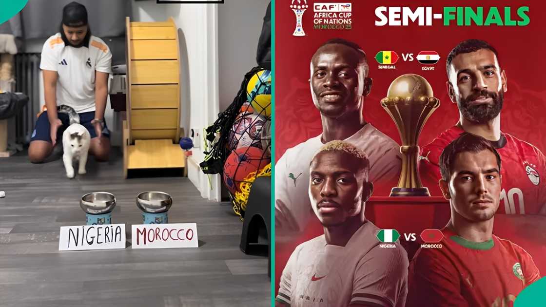 Nigeria and Morocco will play the AFCON semi-finals match to gain a spot in the finals.