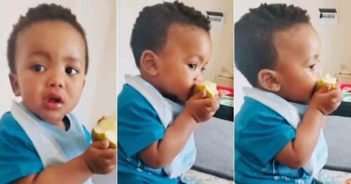 Mzansi, warmed by video, adorable, baby, eating apple, from daddy Mzansi, warmed by video, adorable, baby, eating apple, from daddy