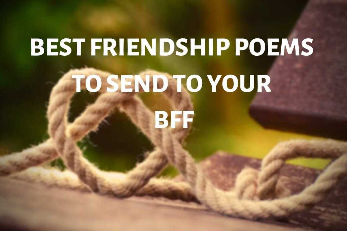 Friendship poems Friendship poems
