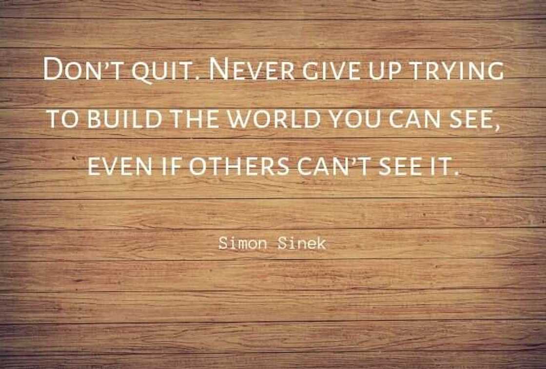Never give up on your dreams quotes Never give up on your dreams quotes