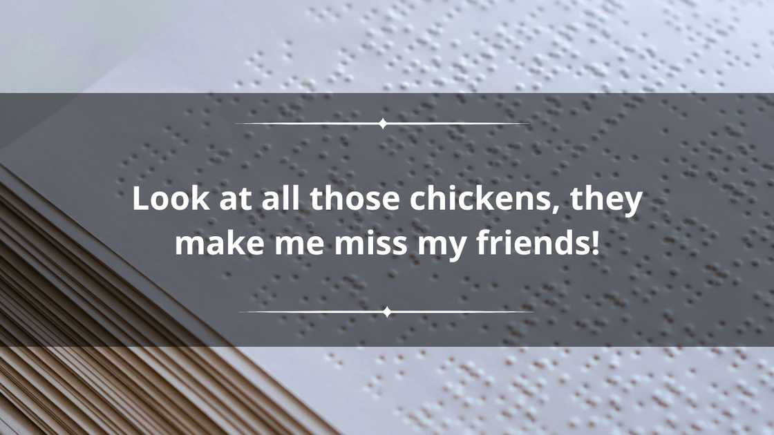 Funny Vine quotes Funny Vine quotes