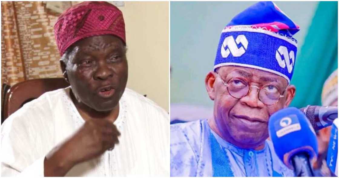 2023 general elections, Asiwaju Bola Ahmed Tinubu, Professor Banji Akintoye, South West Nigeria, Yoruba Nation 2023 general elections, Asiwaju Bola Ahmed Tinubu, Professor Banji Akintoye, South West Nigeria, Yoruba Nation