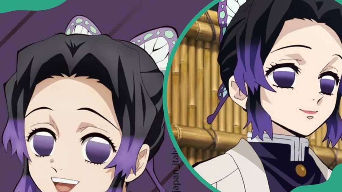 Shinobu Kocho from Demon Slayer Shinobu Kocho from Demon Slayer