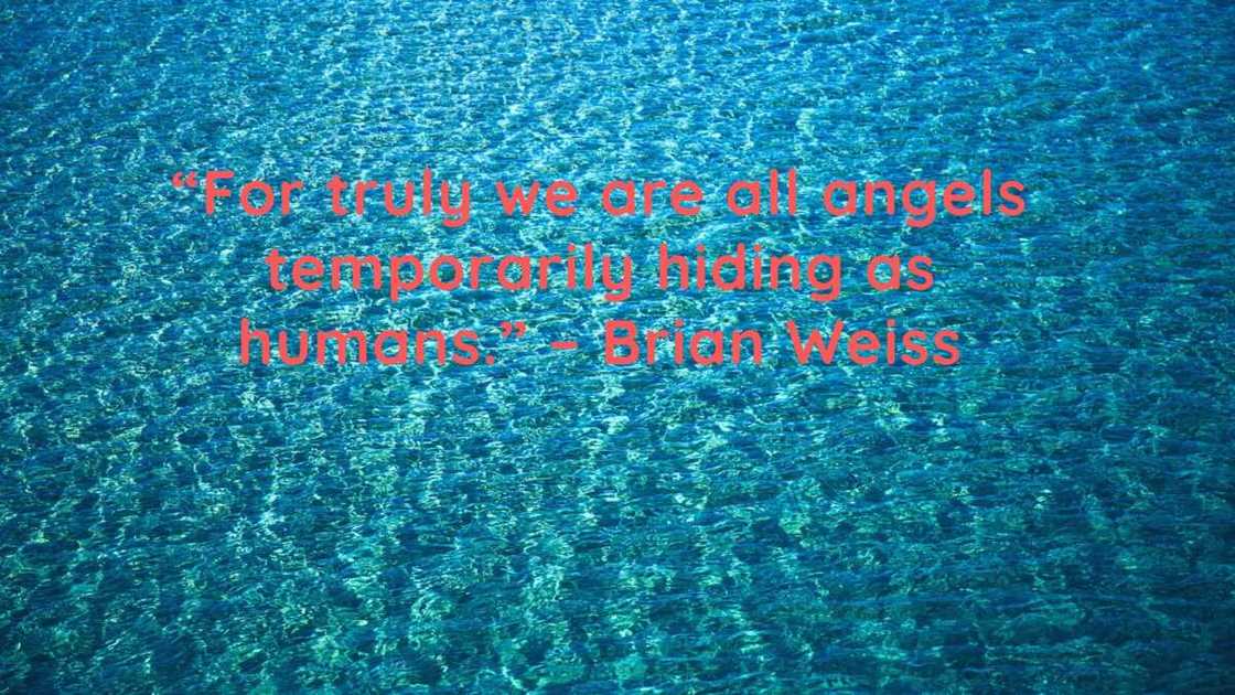 Soulmate true love quotes Soulmate true love quotes