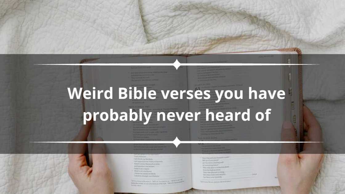 Weird Bible verses Weird Bible verses