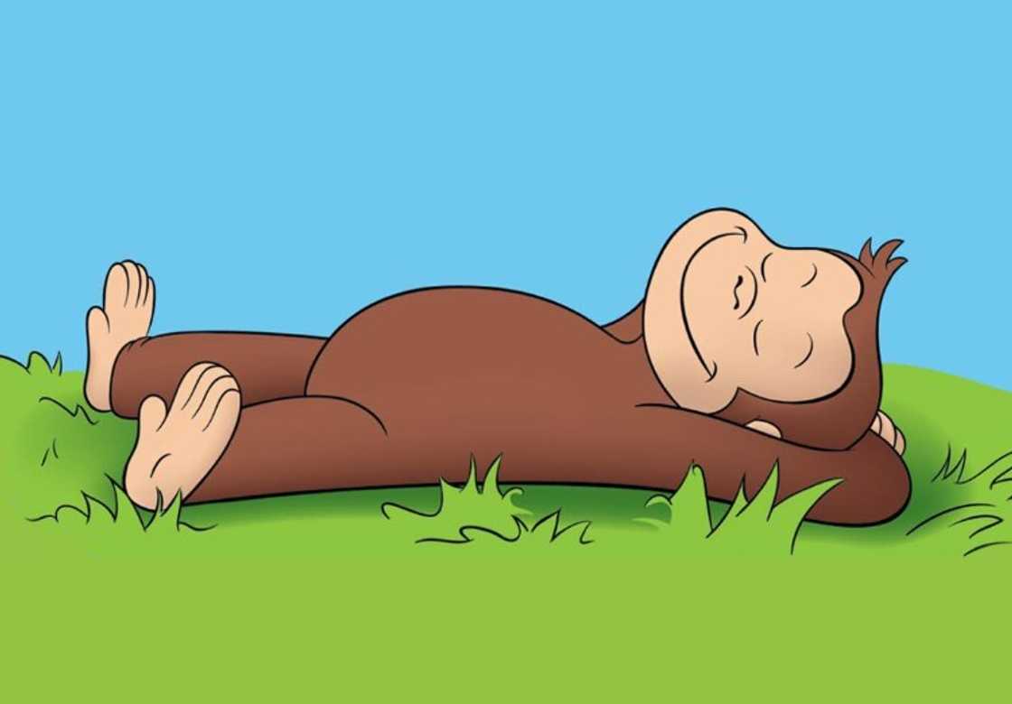 Curious George laying on the grass Curious George laying on the grass