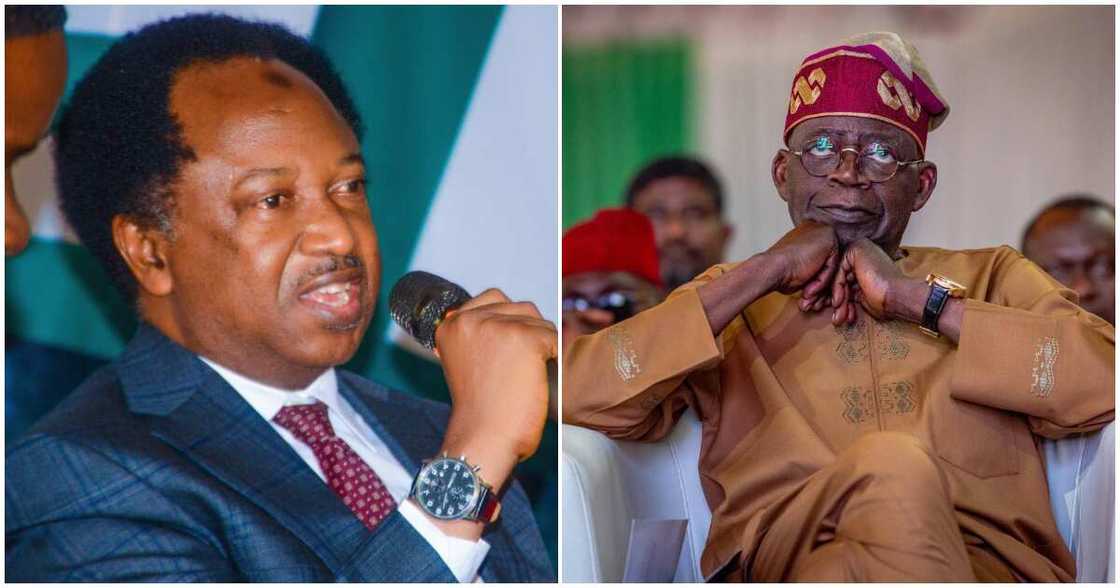 Shehu Sani/ Tinubu's 8k for poor families/8k for 12m families Shehu Sani/ Tinubu's 8k for poor families/8k for 12m families