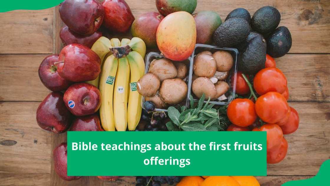 First fruits offerings according to the Bible First fruits offerings according to the Bible
