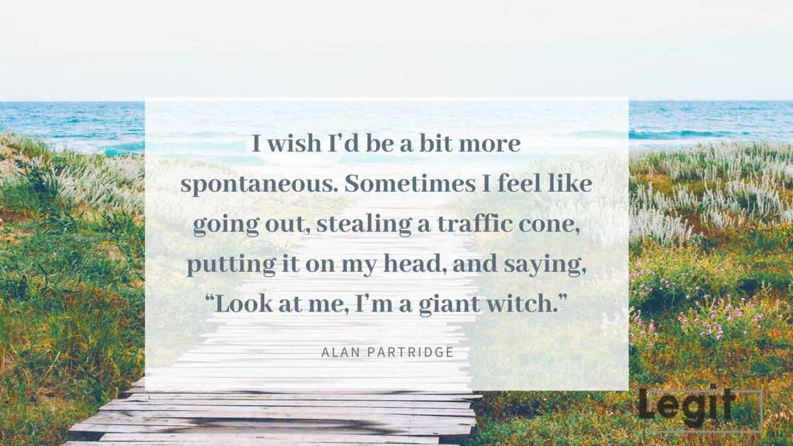 best Alan Partridge quotes best Alan Partridge quotes