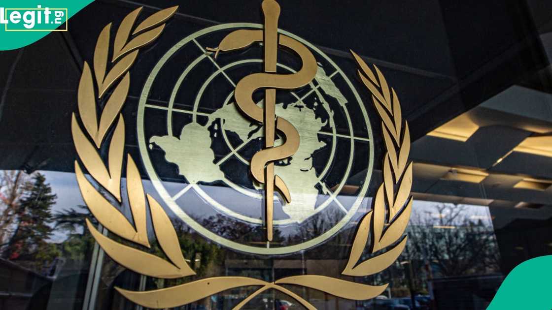 The World Health Organization reveals a high-paying job opportunity for those interested.